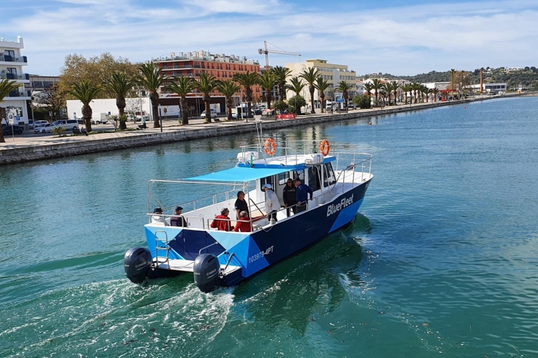 Ab Lagos: Bootsfahrt zur Ponta da Piedade mit Mittagessen