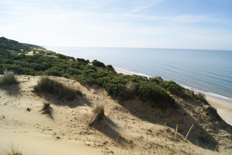 Doñana National Park Off-Road Tour from Seville Doñana National Park Off-Road Tour from Seville - Private