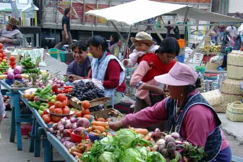 From Quito: Otavalo History, Culture, and Condors Day Trip
