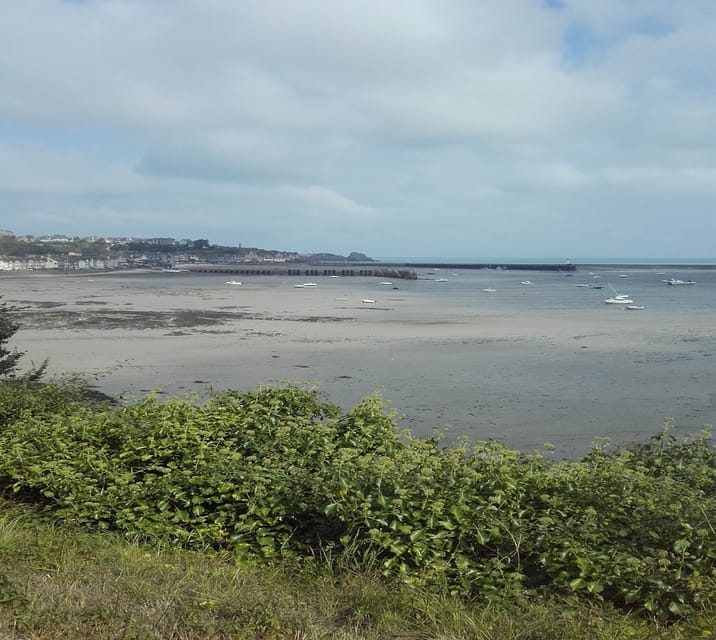 Saint Malo Dinan Fort la Latte Cap Fréhel Private Tour GetYourGuide