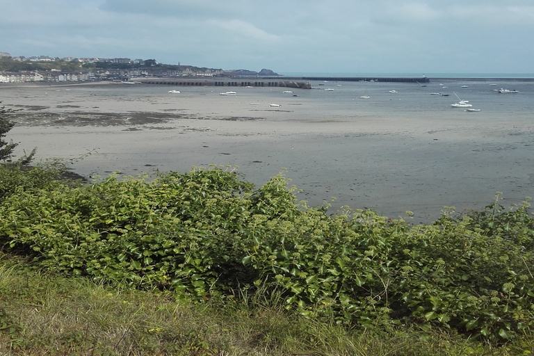 Saint-Malo: Dinan, Fort la Latte, & Cap Fréhel Private Tour