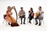 Dublin, Musik- und Tanzshow bei der Irish House Party - Housity