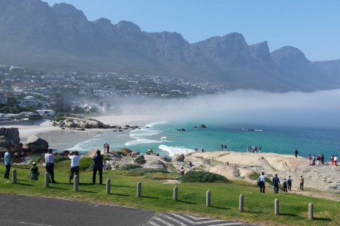 Kapstadt: Stadtbesichtigung Privatausflug zum Tafelberg
