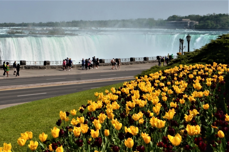 Toronto: Small-Group Niagara Falls Day Trip Small-Group Day Trip with Attraction and Lunch