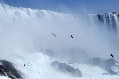 Toronto: Tagesausflug zu den Niagarafällen in kleiner GruppeTagesausflug in kleiner Gruppe mit Attraktion und Mittagessen