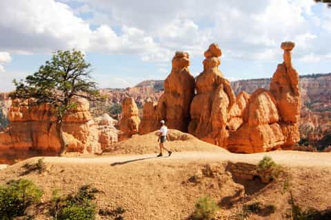 Las Vegas: Bryce and Zion National Park Tour