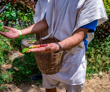 Medellín: Coffee Tour With Tastings and Lunch