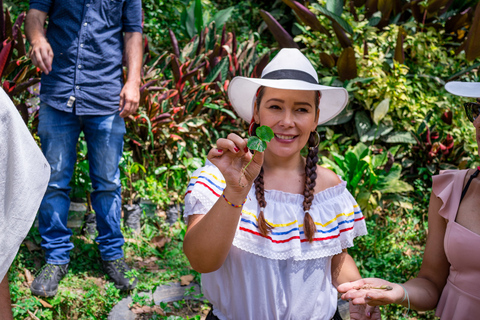 Medellín : Visite du café avec dégustations et déjeunerVisite du café avec dégustations, déjeuner et promenade à cheval