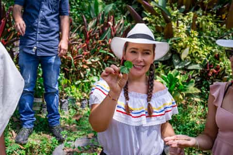 Medellín: Coffee Tour With Tastings and Lunch
