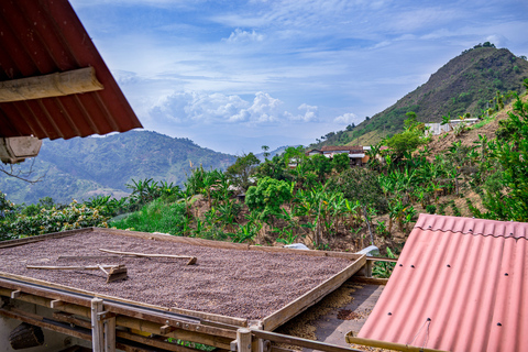 Medellín: Kaffee-Tour mit Verkostung und MittagessenKaffee-Tour mit Verkostung, Mittagessen und Ausritt