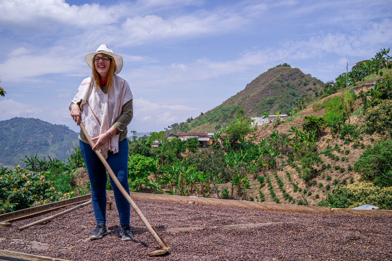 Colombia: degustazione di caffè e pranzo da MedellínTour del caffè con degustazione e pranzo