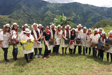 Medellín : Visite du café avec dégustations et déjeunerVisite du café avec dégustations et déjeuner