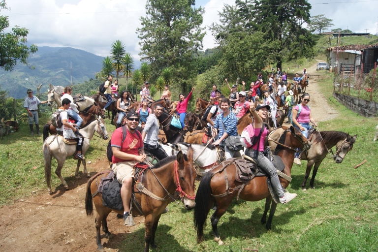 Medellín : Visite du café avec dégustations et déjeunerVisite du café avec dégustations, déjeuner et promenade à cheval