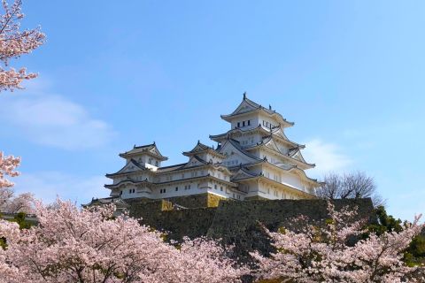 De Osaka: Castelo de Himeji, Arima Onsen e Mt. Rokko Day Trip