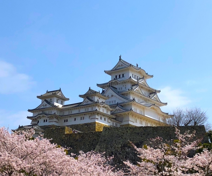 Da Osaka: gita di un giorno al castello di Himeji, Arima Onsen e al monte Rokko