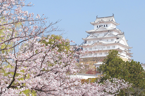 Osaka: Burg Himeji, Arima Onsen & Mt. Rokko 1-Tages-Bustour