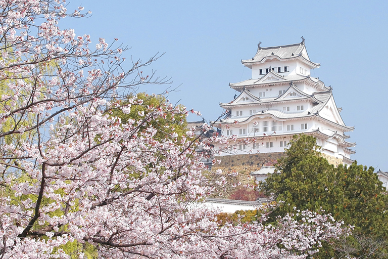 Osaka: Kasteel Himeji, Arima Onsen & Mt. Rokko 1-daagse bustour