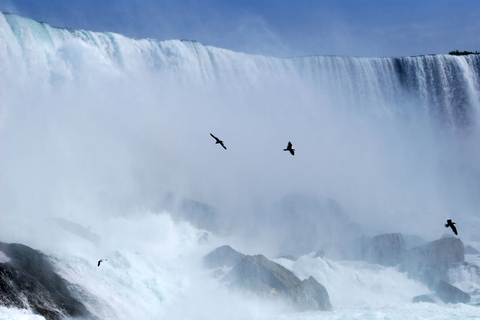 Vanuit Toronto: dagtrip Niagara Falls