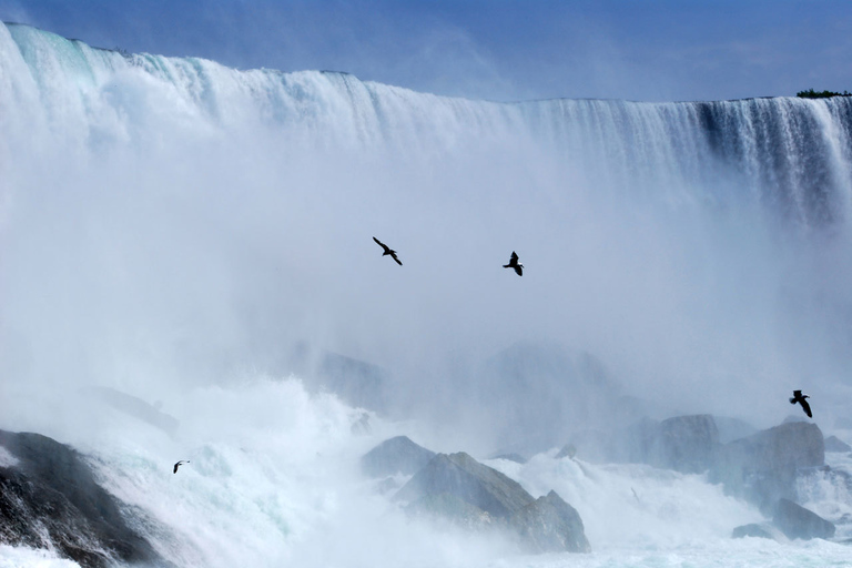 Vanuit Toronto: dagtrip Niagara Falls