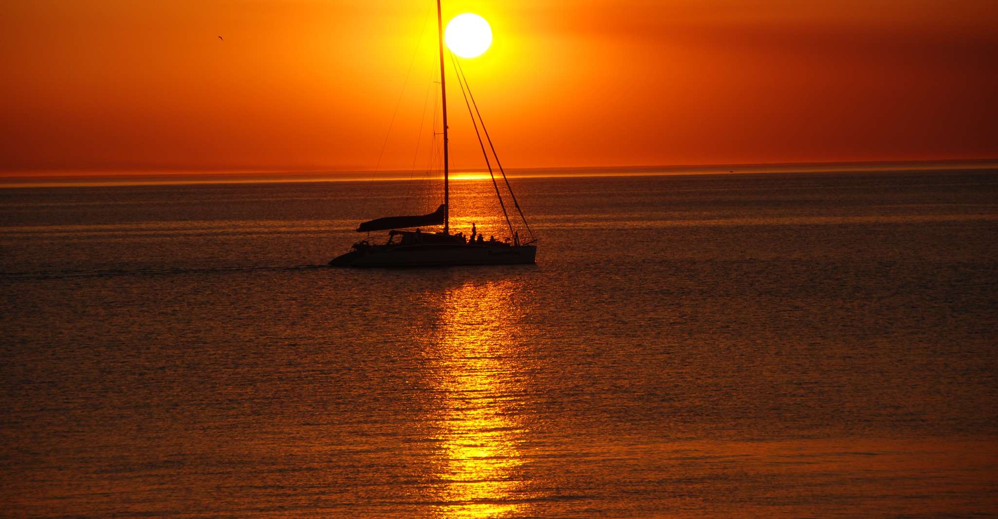 catamaran cruise glenelg