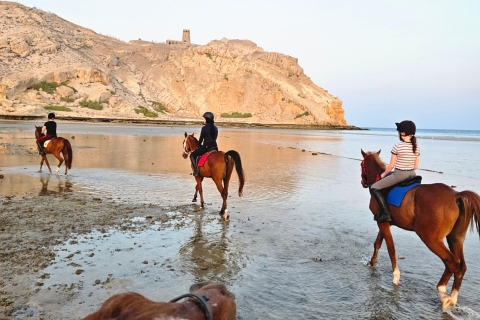 Reiten in Muscat | Reiten am StrandMuscat: Al Sawadi Beach Reiten Erfahrung