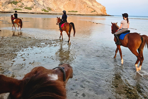 Passeios a cavalo em Omã