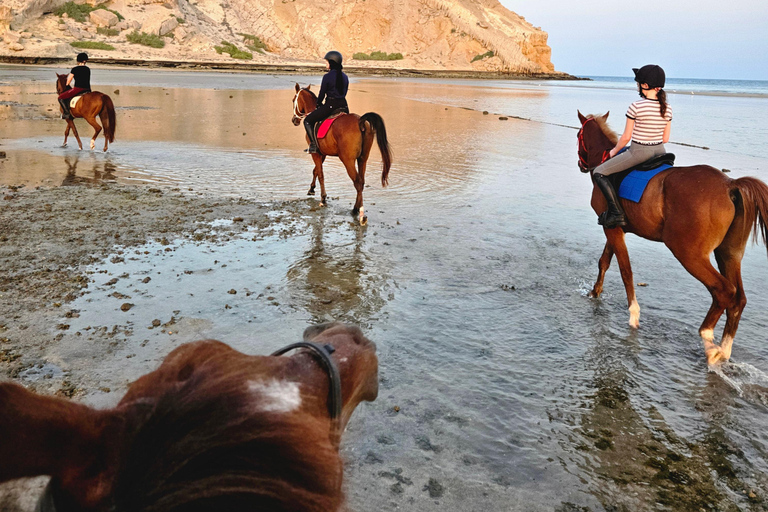 Reiten in Muscat | Reiten am StrandMuscat: Al Sawadi Beach Reiten Erfahrung