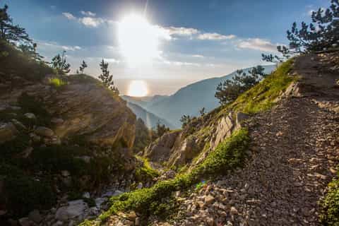 Mount Olympus: Easy Hiking Tour with Wine Tasting and Food