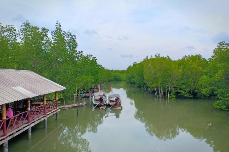 Ko Lanta: visite de la mangrove en petit groupe en bateau à longue queue