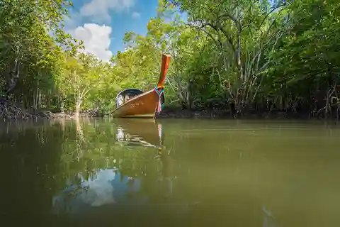 Ko Lanta: Half-Day Mangrove Boat Trip With Local Guide