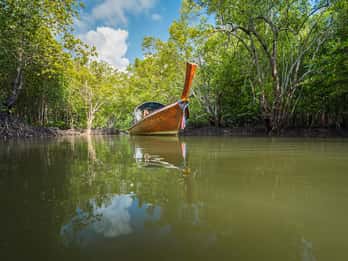 Ko Lanta: Båttur i mangroveskogen med lunsj eller middag
