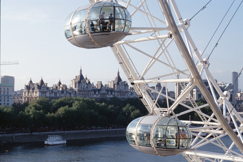 Londen: SEA LIFE & London Eye combiticket