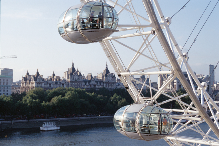 London: SEA LIFE &amp; London Eye Combo Ticket