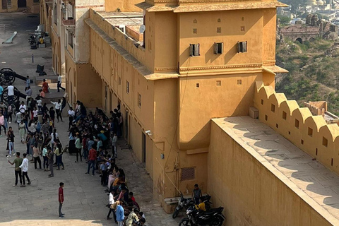 Adventures Wildlife Safari Tour with Golden Triangle 7Days Adventures Wildlife Safari Tour with Golden Triangle 7Days