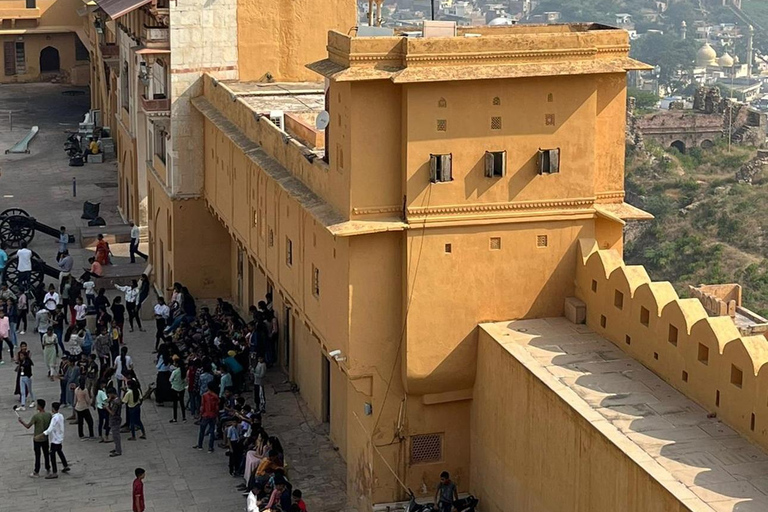 Adventures Wildlife Safari Tour with Golden Triangle 7Days Adventures Wildlife Safari Tour with Golden Triangle 7Days