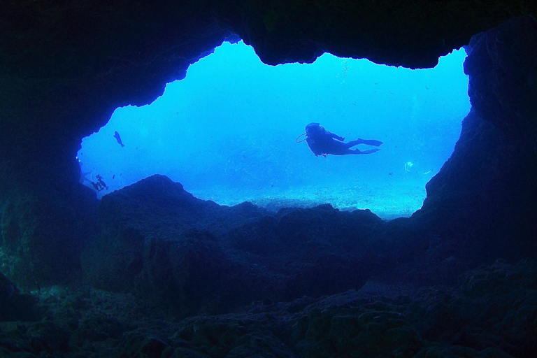 Sao Miguel Island: Scuba Dive for Certified Divers