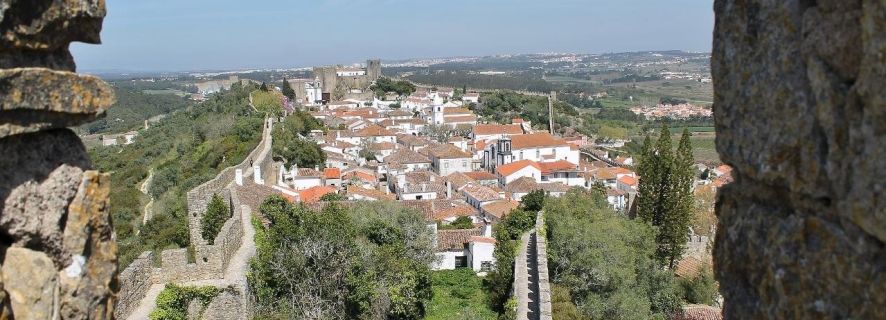De Lisboa: Excursão Privada Óbidos e Palácio de Mafra