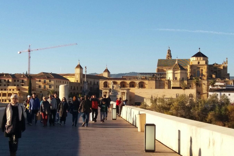 De Séville: excursion d'une journée à CordoueExcursion d'une journée complète à Cordoue