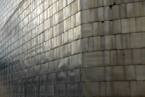 Bilbao: Titânio e Vidro - Tour Particular (Alemão/Inglês)Tour particular: Guggenheim-Insider (em alemão)