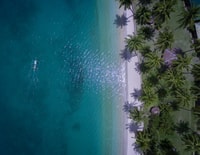 Puerto Princesa, Transfers to/from Port Barton - Housity