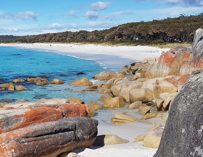 Hobart, 4 giorni Wild Tasmania Tour - Hizvo