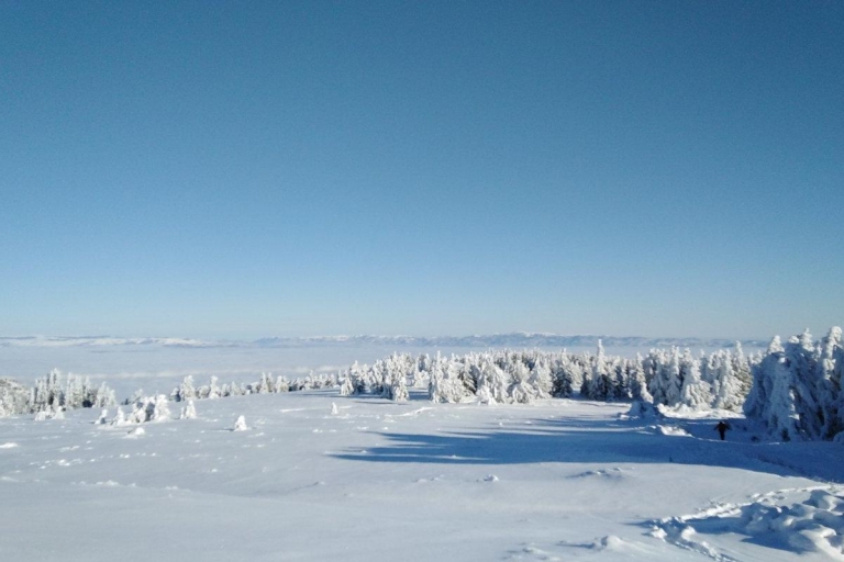 Jednodniowe Wędrówka na rakietach śnieżnych na Witosza