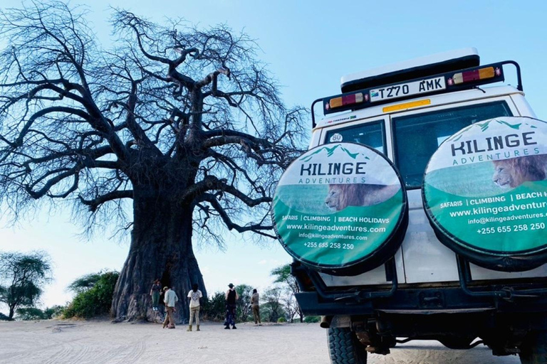 Niesamowita 8-dniowa wycieczka Tarangire i Serengeti Tanzania Safari