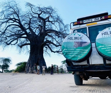 Mejor safari de 1 día por el cráter del Ngorongoro especial grandes 5-Tanzania