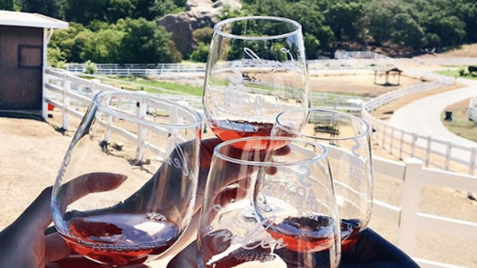 malibu esclusivo pranzo al vigneto con degustazione di vini