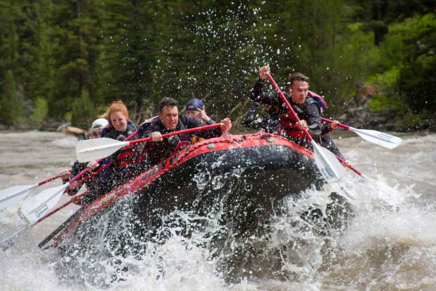 Jackson: Snake River Klasse 2-3 Wildwasser-Rafting Abenteuer. Foto: GetYourGuide