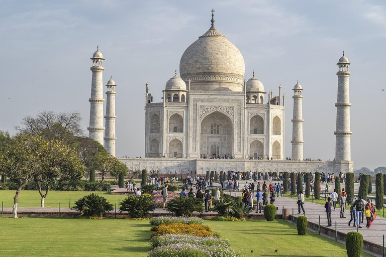 Agra: Tour all&#039;alba del Taj Mahal con passeggiata all&#039;interno del MausoleoTour privato con biglietti di ingresso e prima colazione