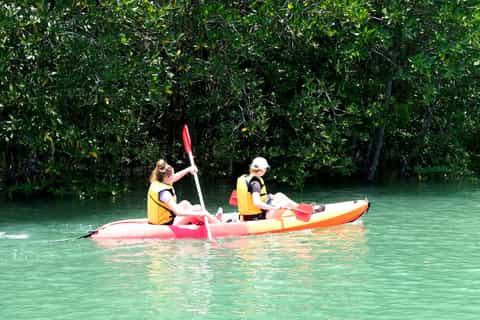 Ko Lanta: Mangrove Kayaking Half-Day Tour