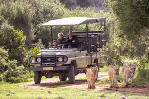 Botlierskop Private Game Reserve: 3.5-Hour Sunset Game Drive