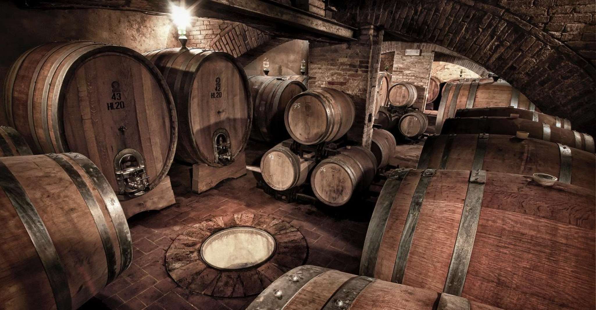 Montalcino, Brunello Wine Tasting Experience - Hizvo